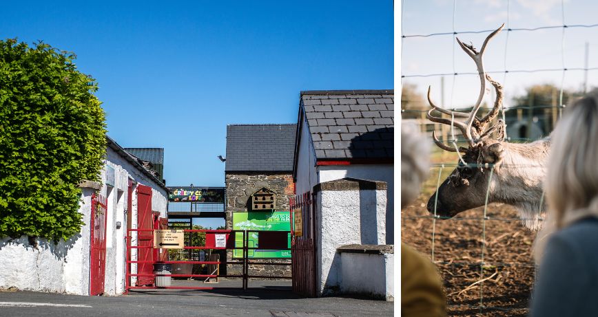 Ark Open Farm, Conlig